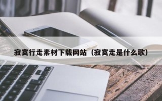 长沙寂寞行走素材下载网站（寂寞走是什么歌）